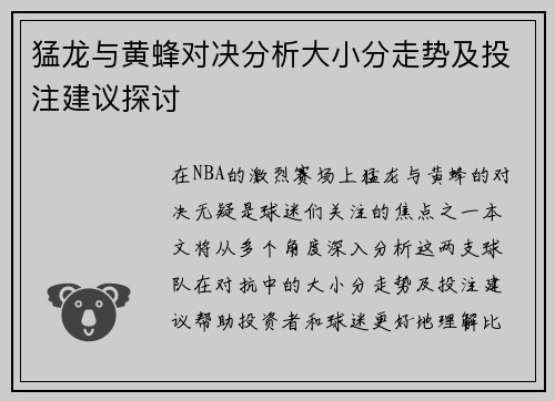 猛龙与黄蜂对决分析大小分走势及投注建议探讨