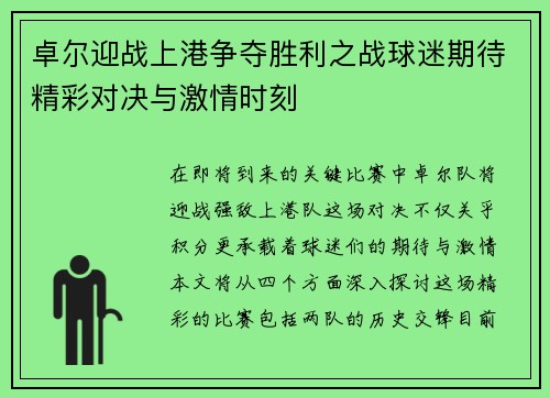 卓尔迎战上港争夺胜利之战球迷期待精彩对决与激情时刻
