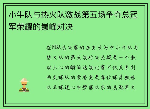 小牛队与热火队激战第五场争夺总冠军荣耀的巅峰对决