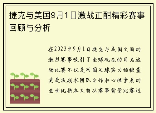 捷克与美国9月1日激战正酣精彩赛事回顾与分析