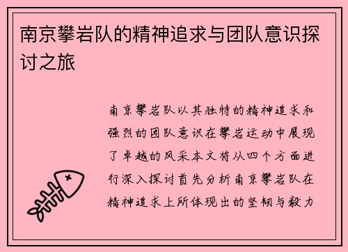 南京攀岩队的精神追求与团队意识探讨之旅